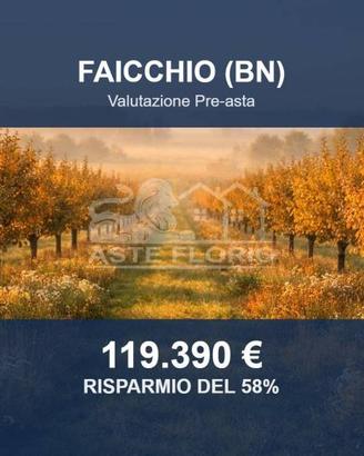 Immobile in asta di 11460 m² a Faicchio