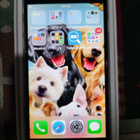 IPhone 6