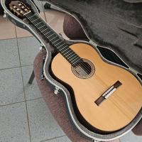 Magnifica chitarra