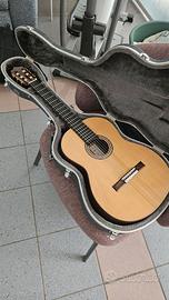 Magnifica chitarra