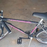 MTB cambio shimano 26 pollici