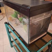 acquario 