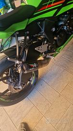 Austin Racing Zx6r