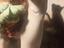 Immagine 3