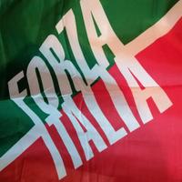 Bandiera Forza Italia 