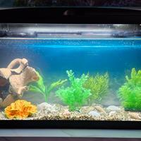 Acquario 80 lt