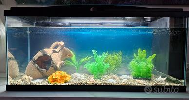 Acquario 80 lt
