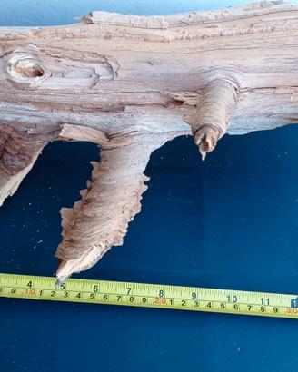 legno naturale per calameonti 