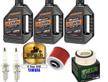 Yamaha Drag Star 650 Cambio Olio Candele Filtro