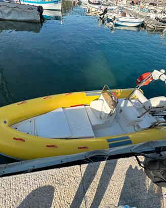 Lomac 520 + Evinrude E-TEC 40 CV + Carrello Ellebi