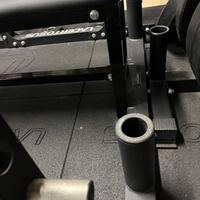 Power rack training lacertosus