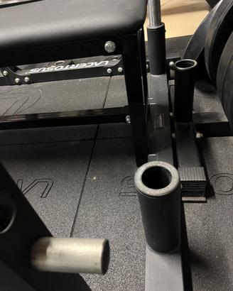 Power rack training lacertosus