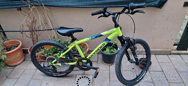 Bicicletta mtb 20 pollici bambino