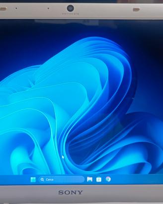 SonyVaio 