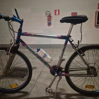 Mountain bike uomo
