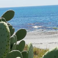 Vacanze Estive Calabria Brancaleone(Reggio Cal.)