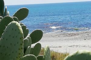 Vacanze Estive Calabria Brancaleone(Reggio Cal.)