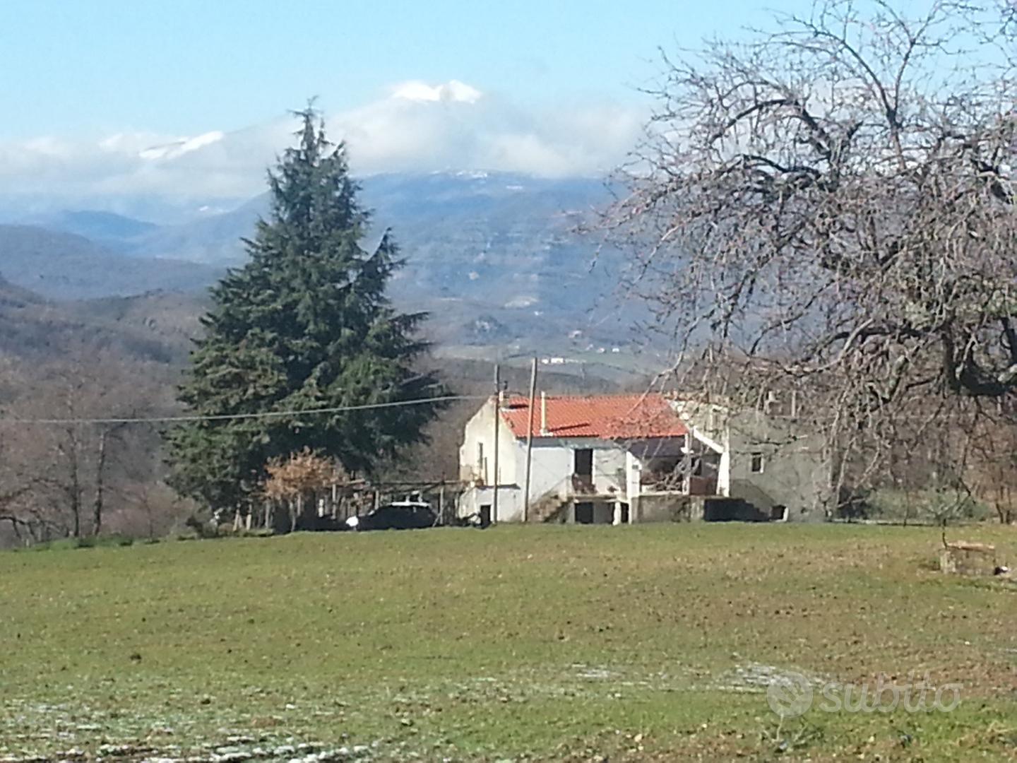 Terreno Agricolo - Vista 3