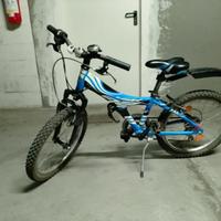 Bici 20"