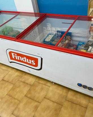Congelatore a pozzetto Findus