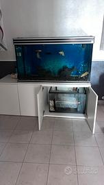 Acquario 320 litri + pesci e accessori