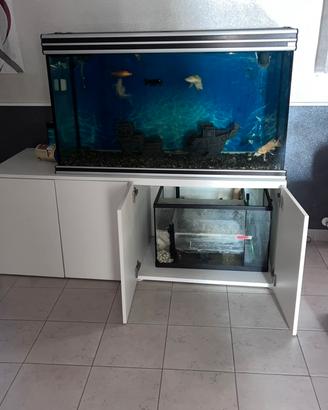 Acquario 320 litri + pesci e accessori
