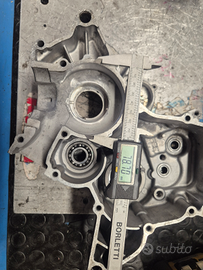 Carter am6 preparati