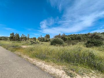 Terreno Agricolo 5600 mq - Monastir (CA)