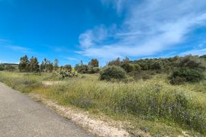 Terreno Agricolo 5600 mq - Monastir (CA)