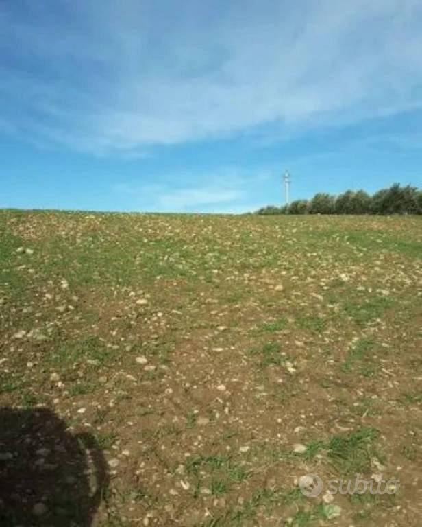 Immobile in asta di 43852 m² a Venosa - Vista 4