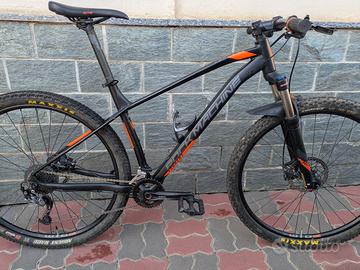 MTB ROCK MACHINE TG.L
