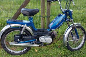 Motorino vecchio pointer ks