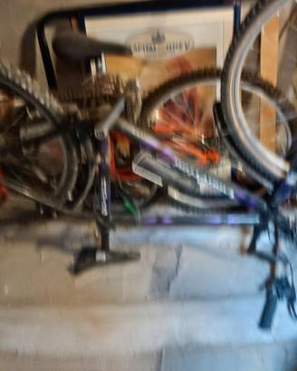 Mountain Bike Lucchino 1994 Da Intenditore