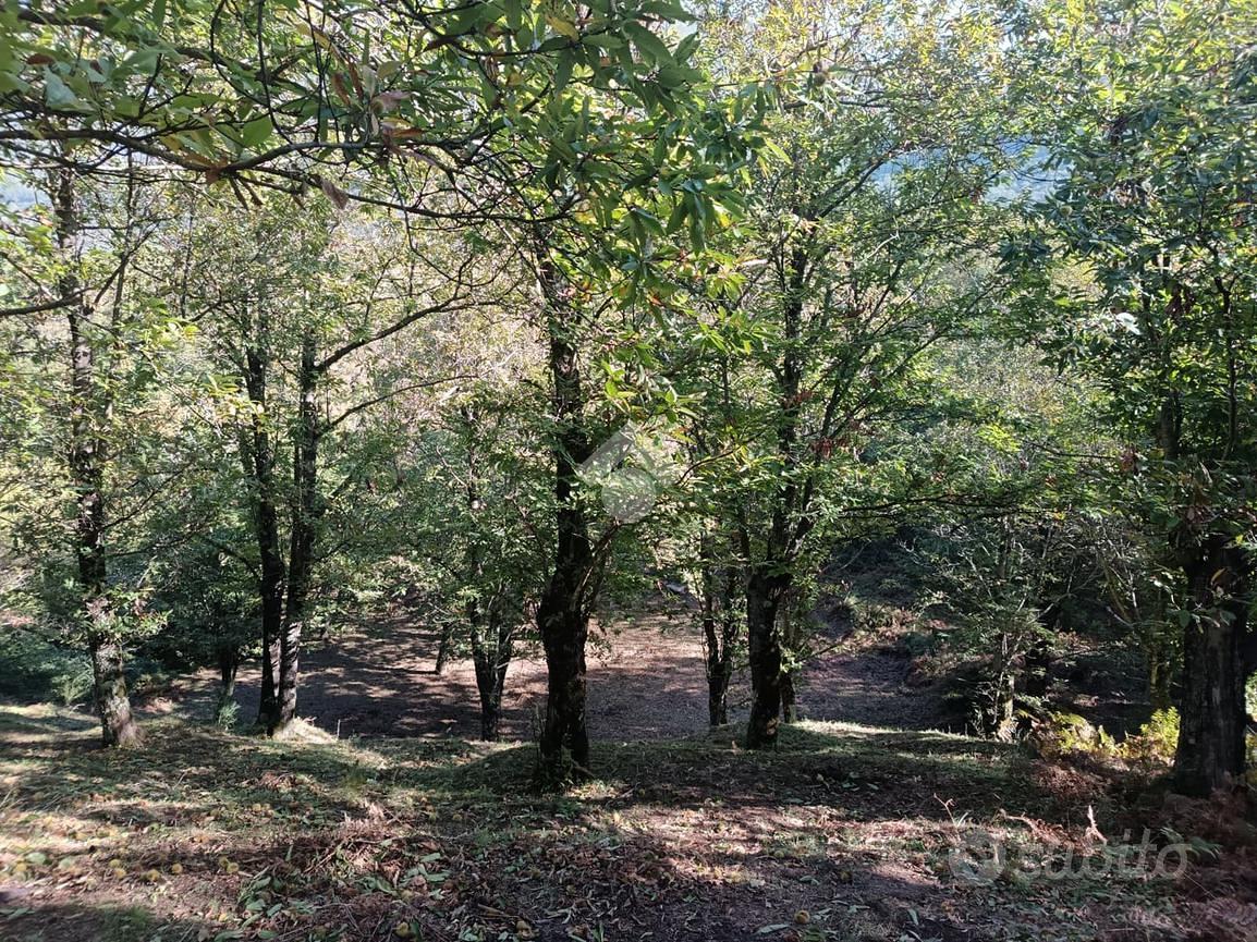 TER. AGRICOLO A SERINO - Vista 4