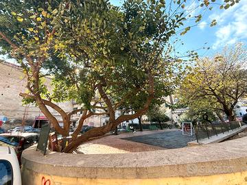 Ad. via foria- 2 vani buono stato