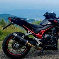 scarico Roadsitalia honda hornet 750 