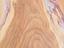 Immagine 8