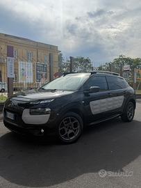 AUTOMATICA C4 cactus
