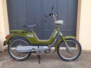 Boxer piaggio