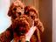 Immagine 13