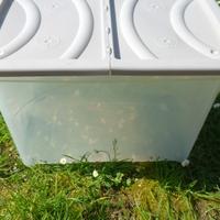 contenitori in plastica