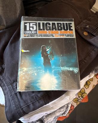 Concerto Ligabue