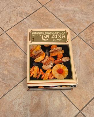 Libri Grande Enciclopedia della Cucina Curcio