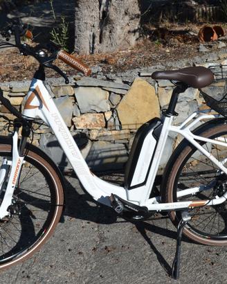 bicicletta elettrica