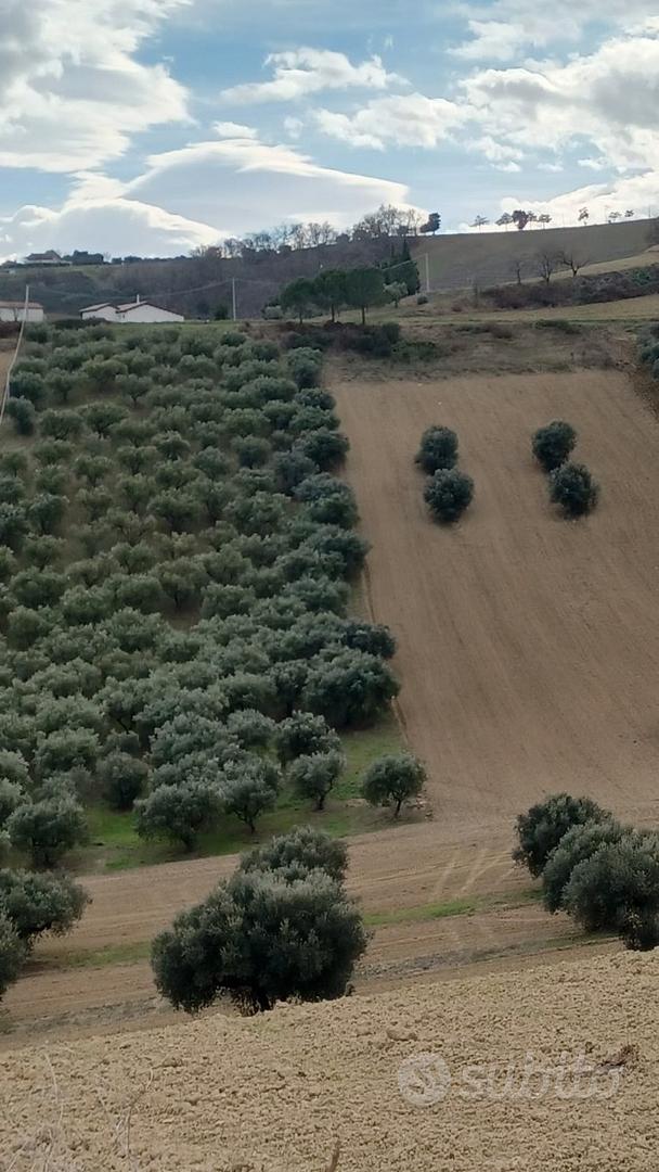 Terreno con fabbricati rurali - Vista 4
