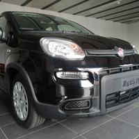 Fiat Pandina 1.0 KM ZERO