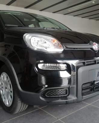 Fiat Pandina 1.0 KM ZERO