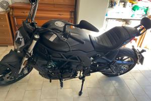 Benelli 502 c cruiser