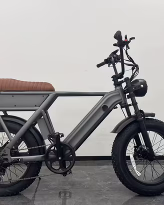 YANGOR Y20 bici elettrica con motore 750W 48V 15Ah
