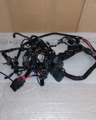 impianto elettrico harley davidson 883 iron